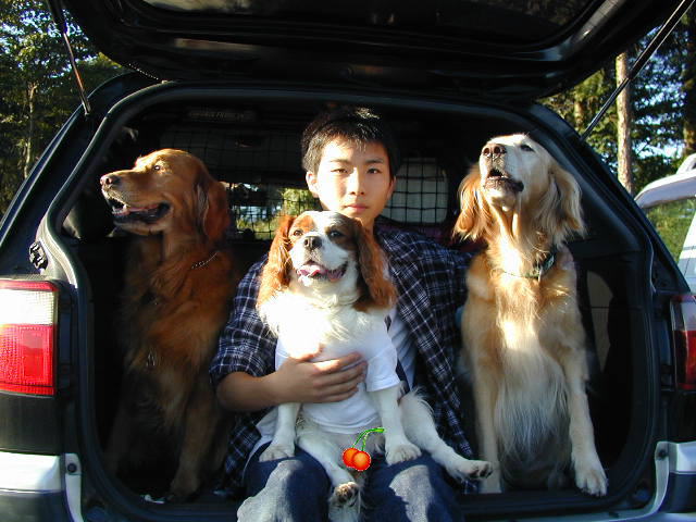 �l�A�`�F���[�{�[�C