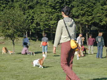 �����ԂŁ`