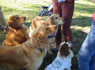 �݂�ȁA���肱���ł��B