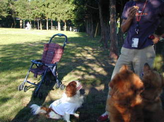 ���Z����A�l�ɂ��������B