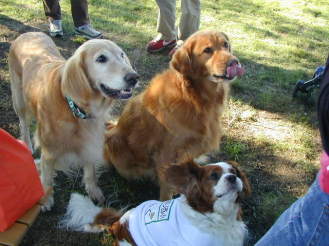 �l�A1�Ԃɂ��肢���܂��B