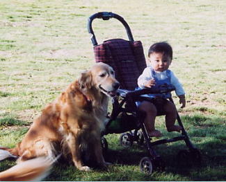 �x�m�R�͑傫���ł���`