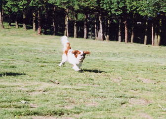 �l������Ƒ����񂾂�`