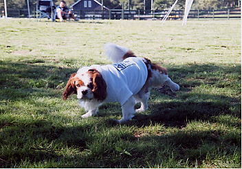 �I�V�b�R���Ƃ��E�E�E����