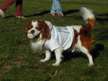 �N�ɂ������Ȃ���`