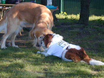 �����`�Ƃ�Ȃ��ŁE�E�E