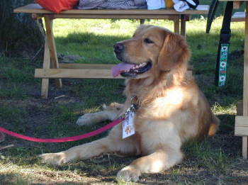 �L�������̃}�}�ɒj�̎q�ɊԈႦ��ꂽ�́`