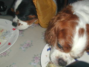 �Ȃ��`�����͌�y�����