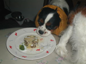 ���Z�����A�ǂ��Ă�