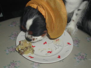 �����A����ȂɃ^�N����H�ׂ�̏��߂Ă�