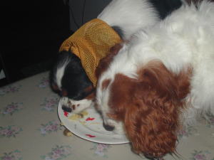 �قȁA��`�������