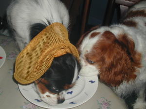 �������˂�A�������H�ׂ����