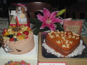 �����������ȃP�[�L