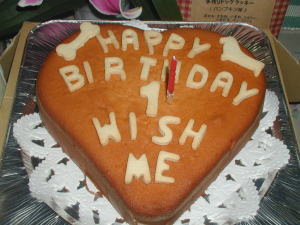 �`�R�}�}����ɁA�����R�p�̃P�[�L�𒸂��܂���