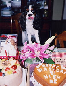 ������`�����������Ȃ��ԁH