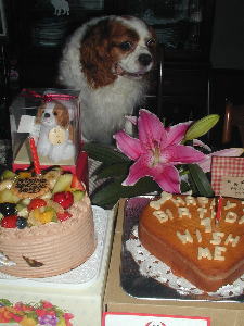 ����`����S���H�ׂėǂ��́H