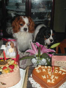 �����`�H�ׂ�����