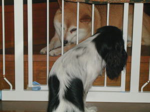 �˂��`���ł����ɂ���́H