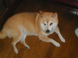 ���͂��񂽂ɋ���������