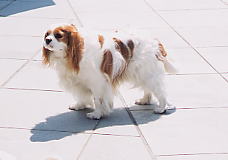 �������T�������