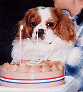 ���̃P�[�L�A�؃��b���r�߂Ă�����B���̉Ƒ��̓`���R���[�g���D����