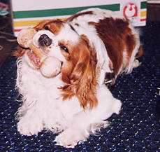 ���̍��́A�d�����̂�������ɖ�����