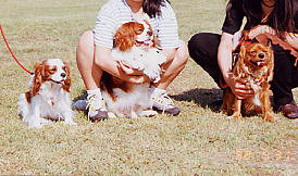 �����B�����A�ڂ��A�`�F�X�N