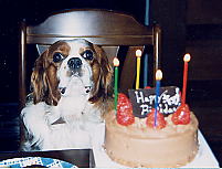 ���N���`���R���[�g�P�[�L