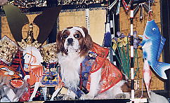 �{���͉��ɂ���Ղ��|����