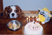 �}�}�������Ă��Ƀt�[�h�����Ă��ꂽ