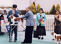 �m��Ȃ����Z����ƈꏏ�ɕ�������