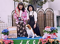 ���̃g���t�B�[�̓}�}�ƕ����Ă�������́`