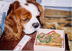 �������A�����������𔃂��Ă������