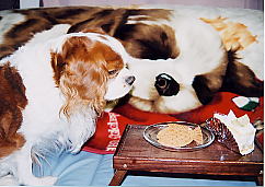 ���N�̃P�[�L�̓`�����N�̂��ꂳ��ɔ����Ă��������`