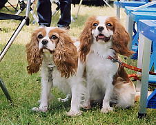 �ӂ��񂿂��A�}�}�ƒ��ǂ����Ă�