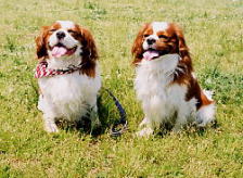 �o�����N�A�܂������