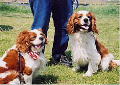 ���u�N�A�l���傫���Ȃ�����