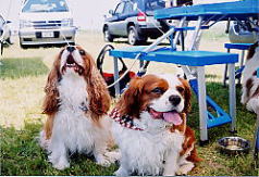 �t�N�����A����Ȏʐ^�����Ȃ��Ă��߂��