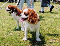 ���x�͈ꏏ�ɎB�낤�ˁ`