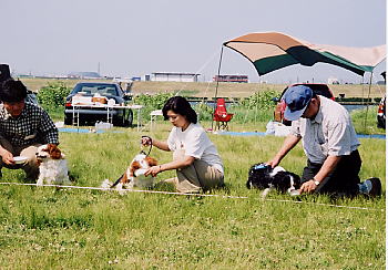 ����H�ׂȂ��΂��Ł`