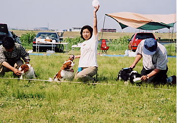 �����������A�f���炵����̏グ�����