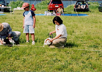 ���x���A�撣���Ă�