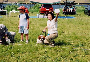 �����������A�K����ȁ`