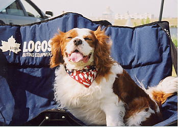 �߂�����`�����������ǁA�y���������Ł`