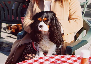 �̂������