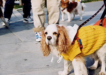 �����Ղ����